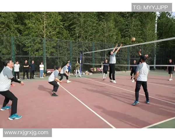 广州排球队的成长之路：一段关于坚持与拼搏的排球纪实故事