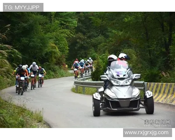 成都极限运动队的意识探索与发展现状分析专题